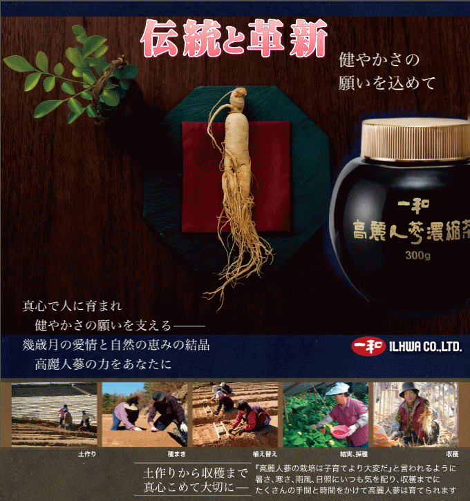 一和高麗人参の伝統的技術