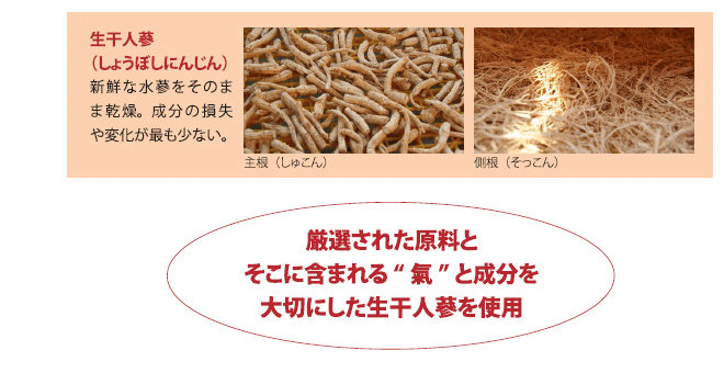 一和人参の生成過程