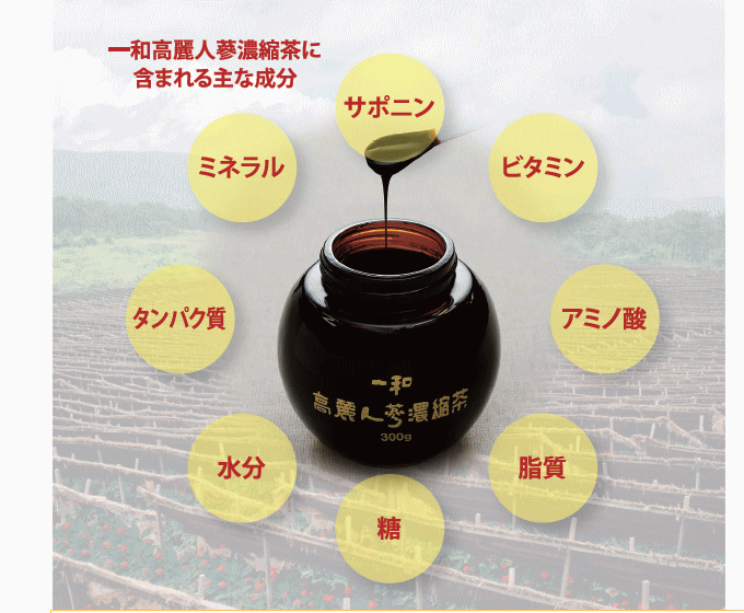 高麗人参濃縮茶の成分